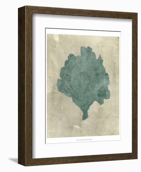 Coral in Teal-Vision Studio-Framed Art Print