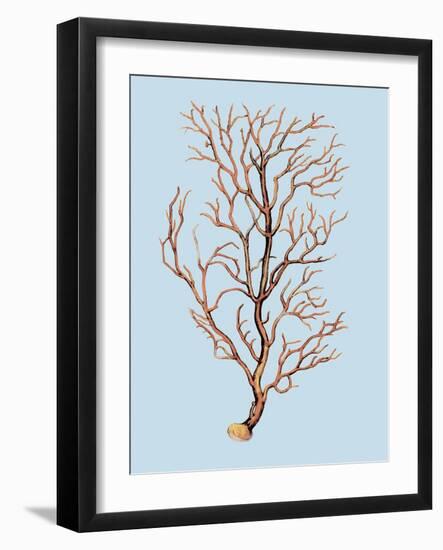 Coral IV-Sloane Addison ?-Framed Art Print