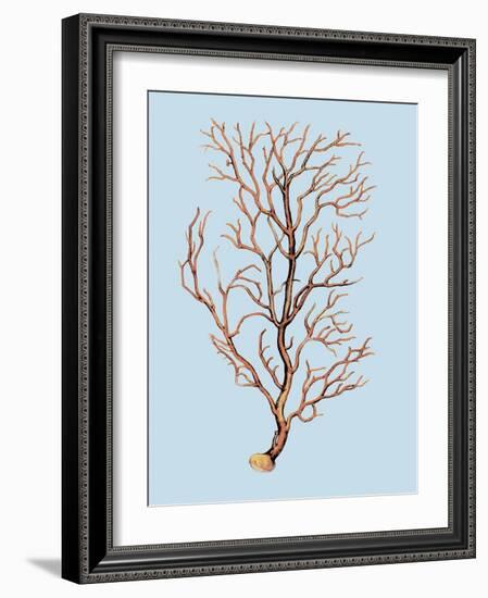 Coral IV-Sloane Addison ?-Framed Art Print