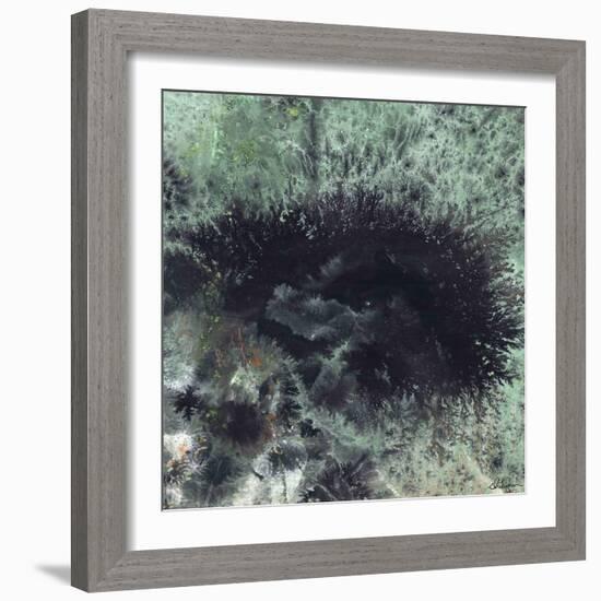 Coral & Jelly Fish I-Dlynn Roll-Framed Art Print