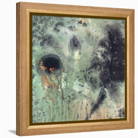 Coral & Jelly Fish II-Dlynn Roll-Framed Stretched Canvas