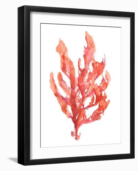 Coral Kelp I-Jennifer Goldberger-Framed Art Print