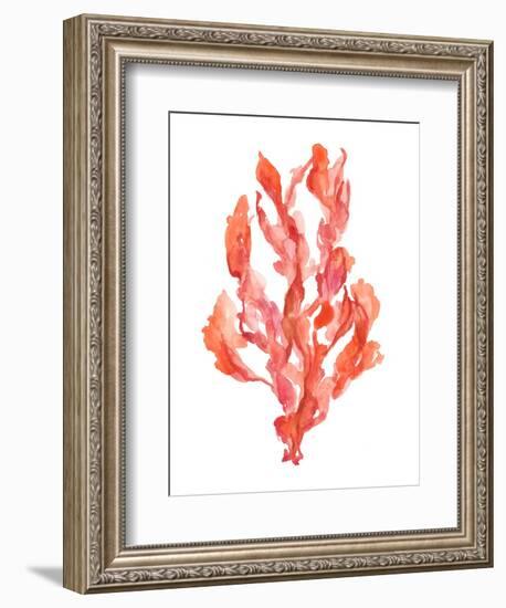 Coral Kelp II-Jennifer Goldberger-Framed Premium Giclee Print