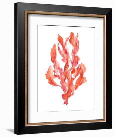 Coral Kelp II-Jennifer Goldberger-Framed Premium Giclee Print