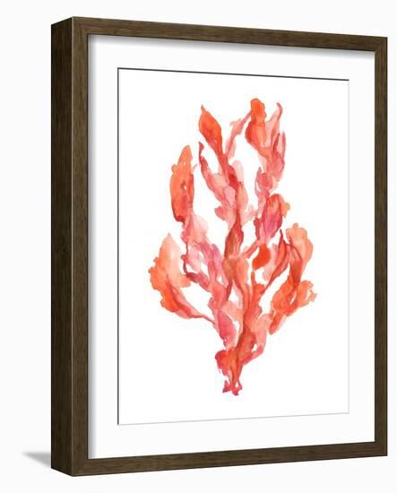 Coral Kelp II-Jennifer Goldberger-Framed Art Print