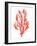 Coral Kelp II-Jennifer Goldberger-Framed Art Print