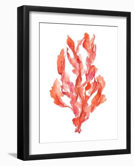 Coral Kelp II-Jennifer Goldberger-Framed Art Print