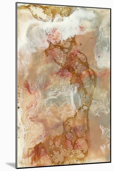 Coral Lace I-Jennifer Goldberger-Mounted Art Print