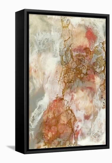 Coral Lace II-Jennifer Goldberger-Framed Stretched Canvas