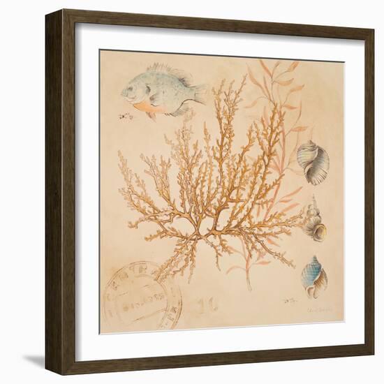 Coral Medley I-Lanie Loreth-Framed Art Print