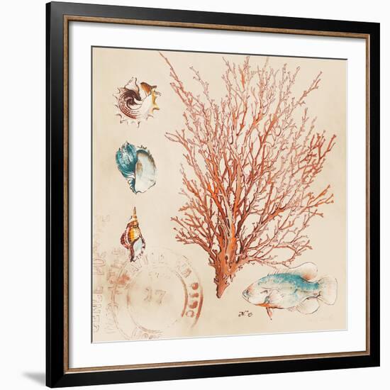 Coral Medley II-Lanie Loreth-Framed Art Print