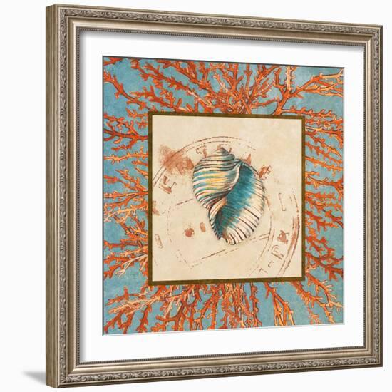 Coral Medley Shell I-Lanie Loreth-Framed Art Print