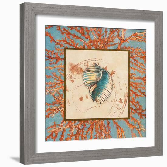 Coral Medley Shell I-Lanie Loreth-Framed Art Print