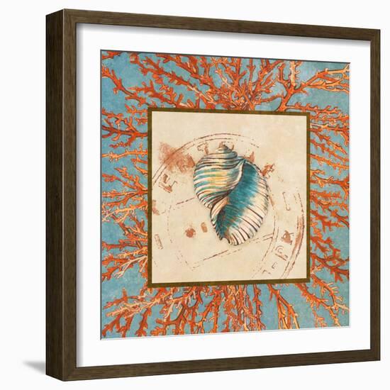 Coral Medley Shell I-Lanie Loreth-Framed Art Print