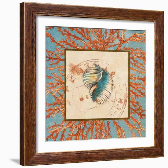 Coral Medley Shell I-Lanie Loreth-Framed Art Print