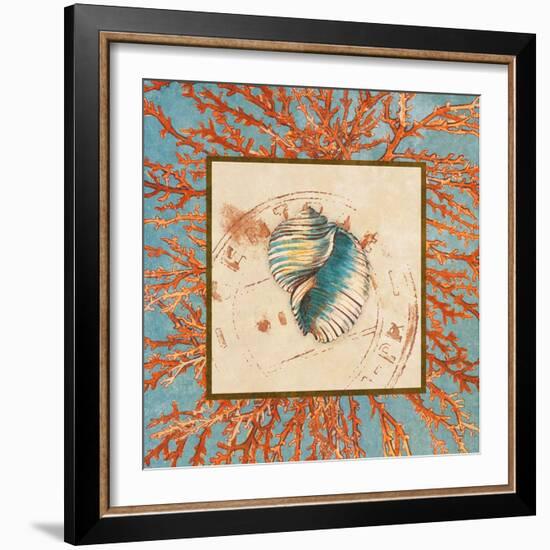 Coral Medley Shell I-Lanie Loreth-Framed Art Print