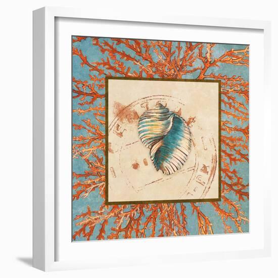 Coral Medley Shell I-Lanie Loreth-Framed Art Print