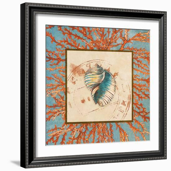 Coral Medley Shell I-Lanie Loreth-Framed Art Print