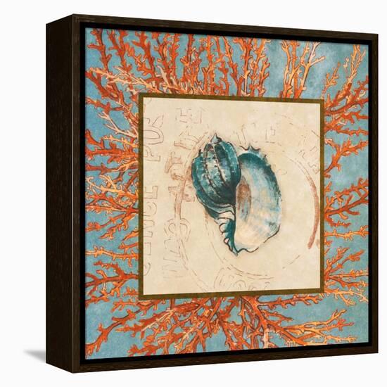 Coral Medley Shell II-Lanie Loreth-Framed Stretched Canvas