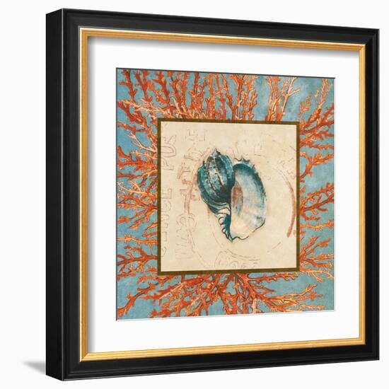 Coral Medley Shell II-Lanie Loreth-Framed Art Print