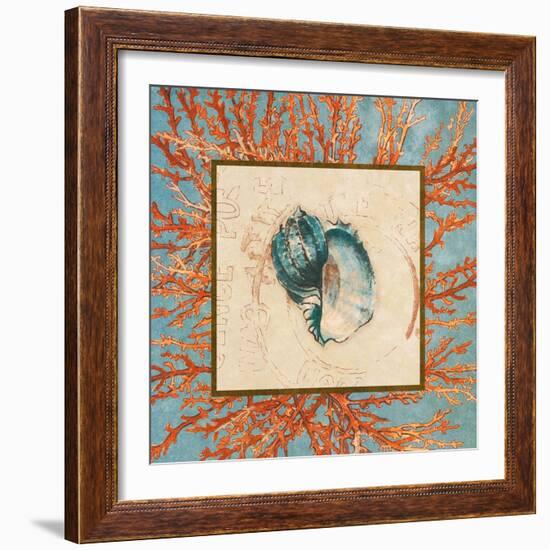 Coral Medley Shell II-Lanie Loreth-Framed Premium Giclee Print