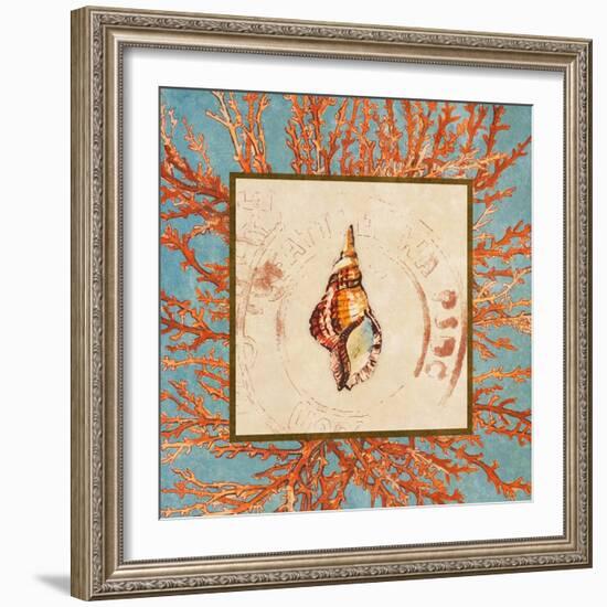 Coral Medley Shell IV-Lanie Loreth-Framed Premium Giclee Print