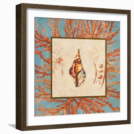 Coral Medley Shell IV-Lanie Loreth-Framed Art Print