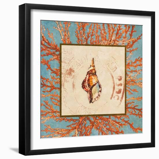 Coral Medley Shell IV-Lanie Loreth-Framed Art Print