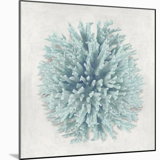 Coral Mint I-Caroline Kelly-Mounted Art Print