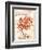 Coral No.5 Sketchbook-Angela Staehling-Framed Art Print