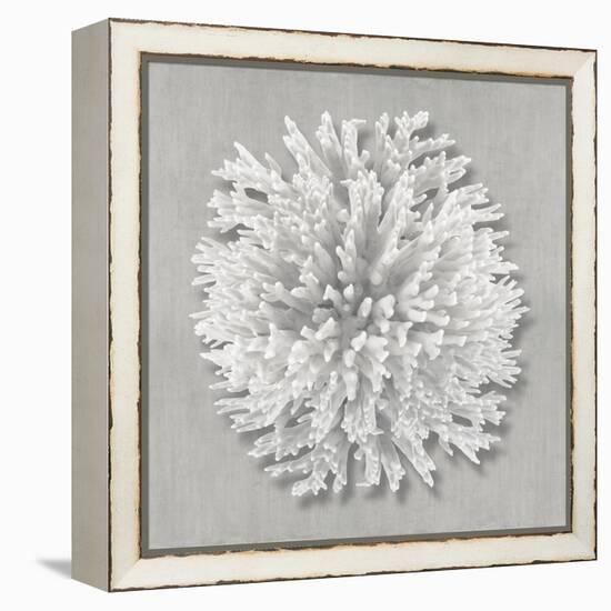 Coral on Gray I-Caroline Kelly-Framed Stretched Canvas