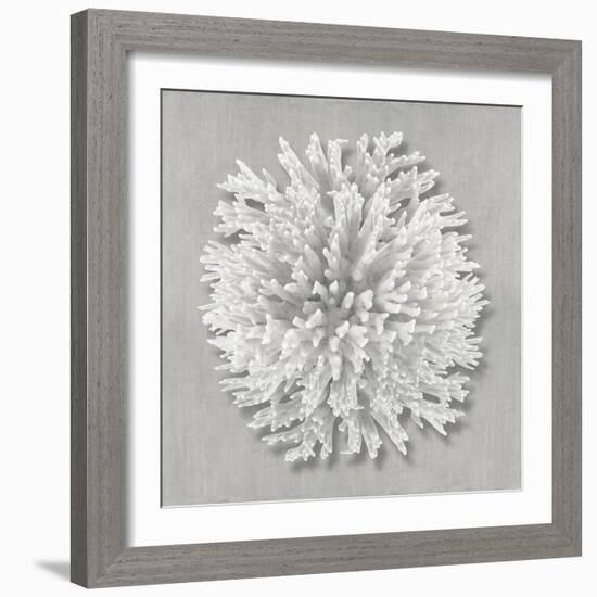 Coral on Gray I-Caroline Kelly-Framed Art Print