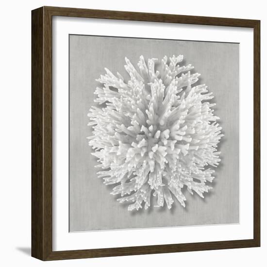 Coral on Gray I-Caroline Kelly-Framed Art Print