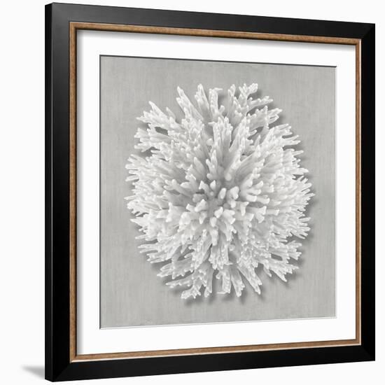 Coral on Gray I-Caroline Kelly-Framed Art Print
