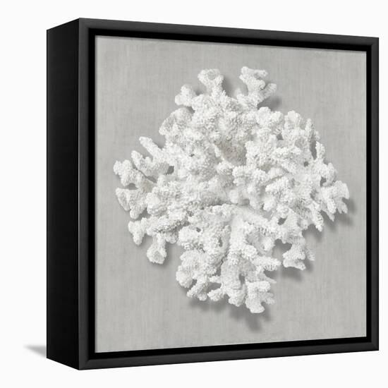 Coral on Gray II-Caroline Kelly-Framed Stretched Canvas
