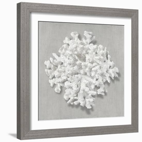 Coral on Gray II-Caroline Kelly-Framed Art Print
