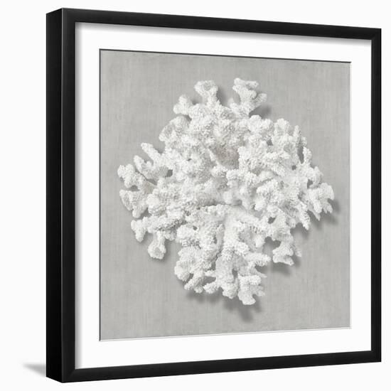 Coral on Gray II-Caroline Kelly-Framed Art Print