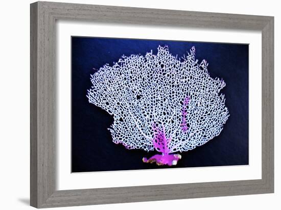 Coral on Navy I-Jairo Rodriguez-Framed Photographic Print