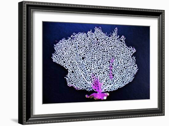 Coral on Navy I-Jairo Rodriguez-Framed Photographic Print