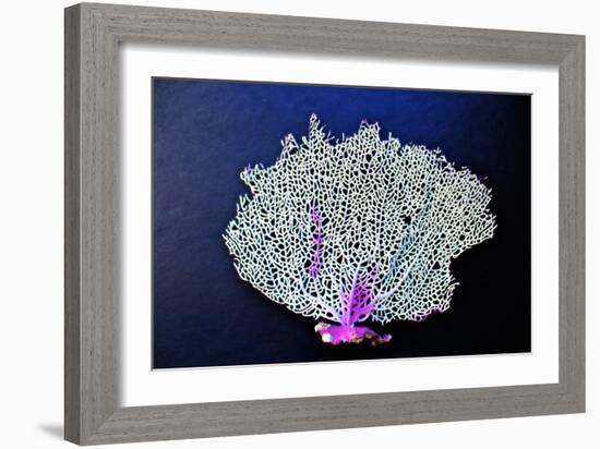 Coral on Navy II-Jairo Rodriguez-Framed Art Print