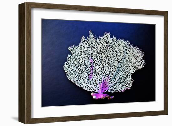 Coral on Navy II-Jairo Rodriguez-Framed Art Print