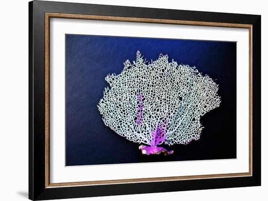 Coral on Navy II-Jairo Rodriguez-Framed Art Print