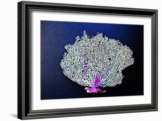 Coral on Navy II-Jairo Rodriguez-Framed Art Print