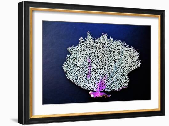 Coral on Navy II-Jairo Rodriguez-Framed Art Print