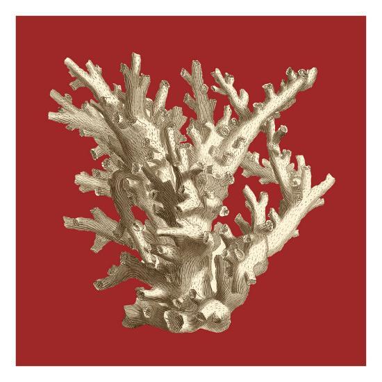 'Coral on Red I' Art Print - Vision Studio | Art.com
