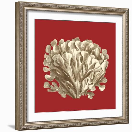 Coral on Red III-Vision Studio-Framed Art Print