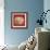 Coral on Red III-Vision Studio-Framed Art Print displayed on a wall