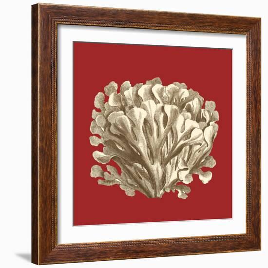 Coral on Red III-Vision Studio-Framed Art Print