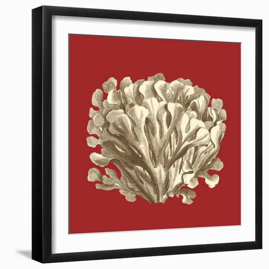 Coral on Red III-Vision Studio-Framed Art Print
