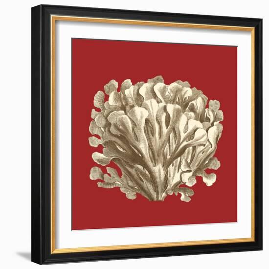 Coral on Red III-Vision Studio-Framed Art Print